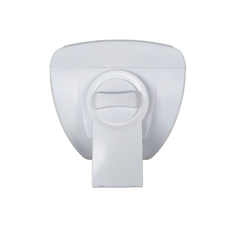 wall speaker